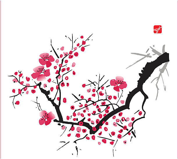 blossom - 梅樹開花 幅插畫檔、美工圖案、卡通及圖標