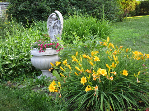 an urn and the statue of an angel among the lush vegetation and blooming flowers of a garden *****The urn and statue are mass-produced resin products purchased at the garden center of a big box store and photographed in my backyard garden