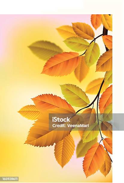 Осенние Листья — стоковая векторная графика и другие изображения на тему Без людей - Без людей, Буковое дерево, Векторная графика