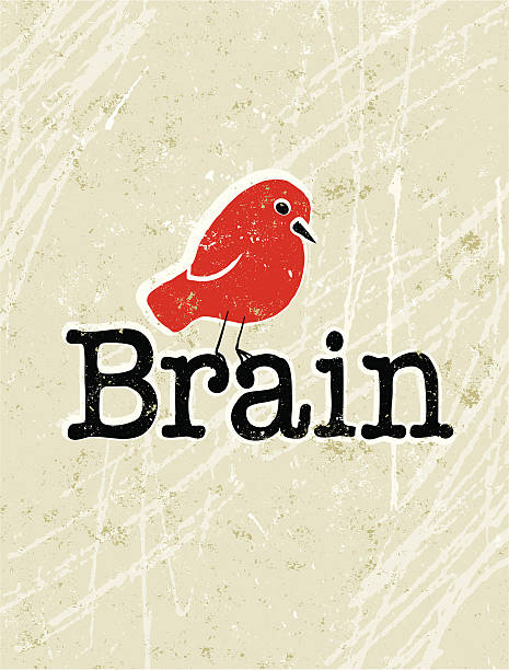 illustrations, cliparts, dessins animés et icônes de oiseau cerveau texte - bird brain