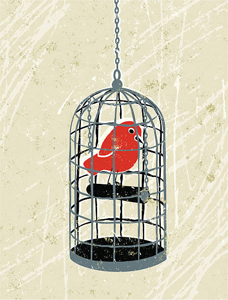 Bird Trapped in a Birdcage Set me Free!! A stylized vector cartoon of a birdcage with a bird inside, in the style of an old screen print poster and suggesting trapped, imprisoned, loneliness,caged or unhappiness. Bird, cage, paper texture, and background are on different layers for easy editing. Please note: clipping paths have been used, an eps version is included without the path. clipped wings stock illustrations