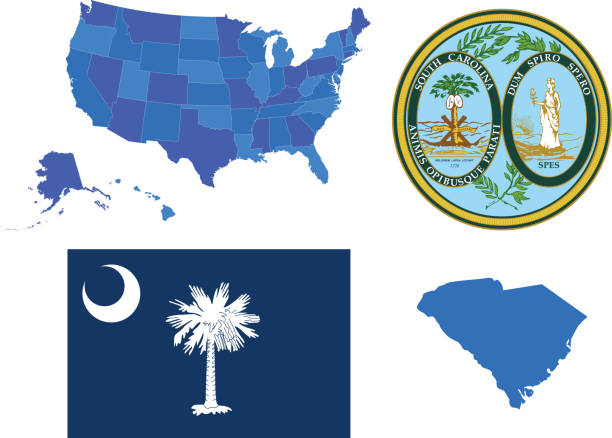 набор южная каролина - south carolina flag interface icons symbol stock illustrations