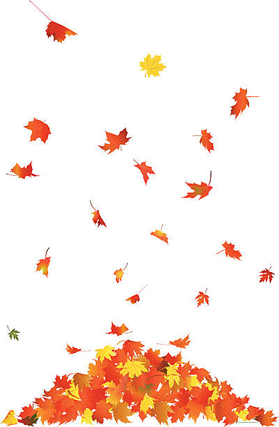 falling leaves - üflemek illüstrasyonlar stock illustrations