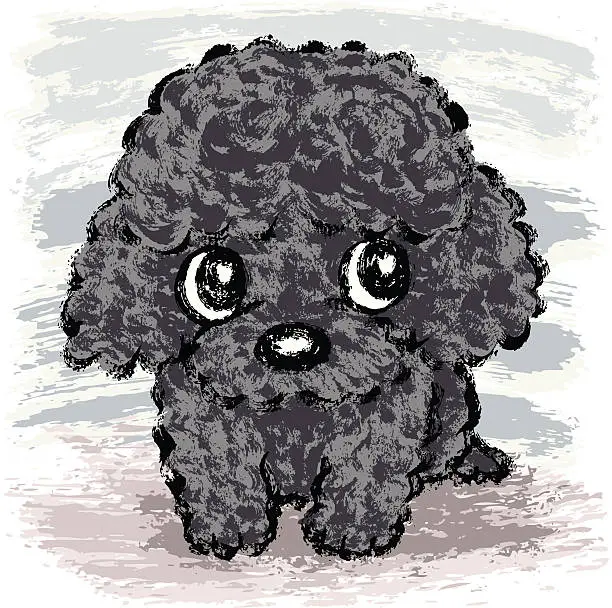 Vector illustration of Black poodle puppy