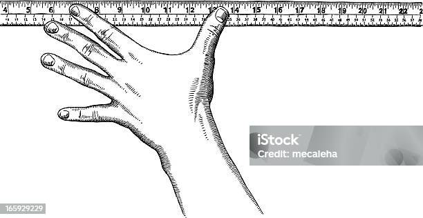 Mão Segurando Uma Régua - Arte vetorial de stock e mais imagens de Imagem Gravada - Imagem Gravada, Régua, Enfeitado