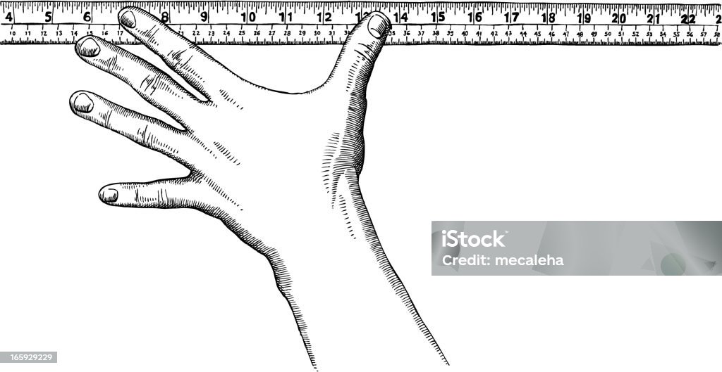 Hand holding a ruler Hand and ruler in a detailed ink drawing - vector illustration Engraved Image stock vector