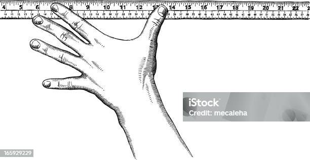 Hand Holding A Ruler Stock Illustration - Download Image Now - Engraved Image, Ruler, Instrument of Measurement