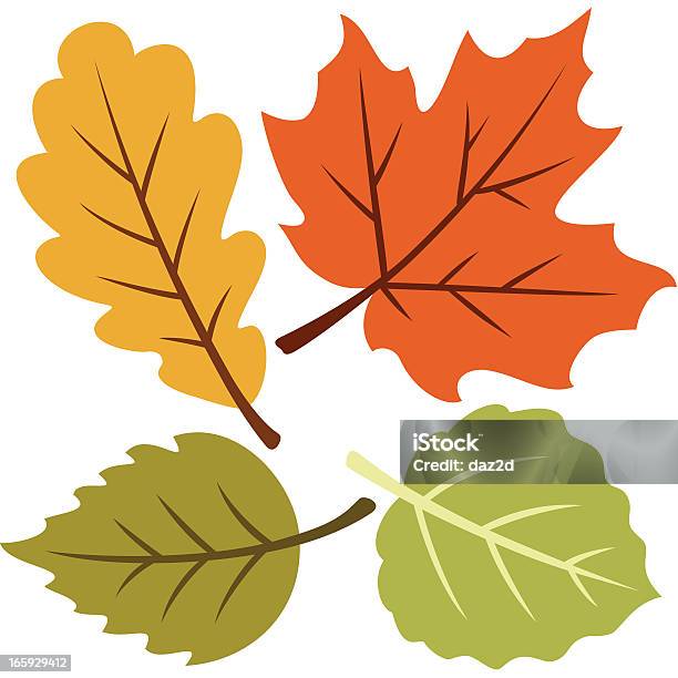 Vector Illustration Of Four Autumn Leaves-vektorgrafik och fler bilder på Löv - Löv, Höst, Falla