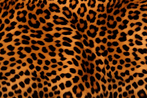 wild animal pattern background