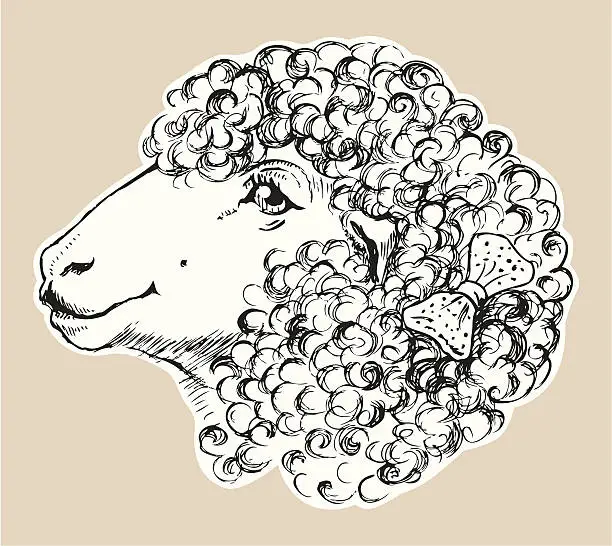 Vector illustration of Ms. Sheep