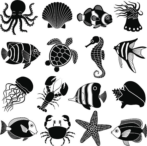 sea creatures icons Vector icons of various sea creatures. fish clip art black and white stock illustrations