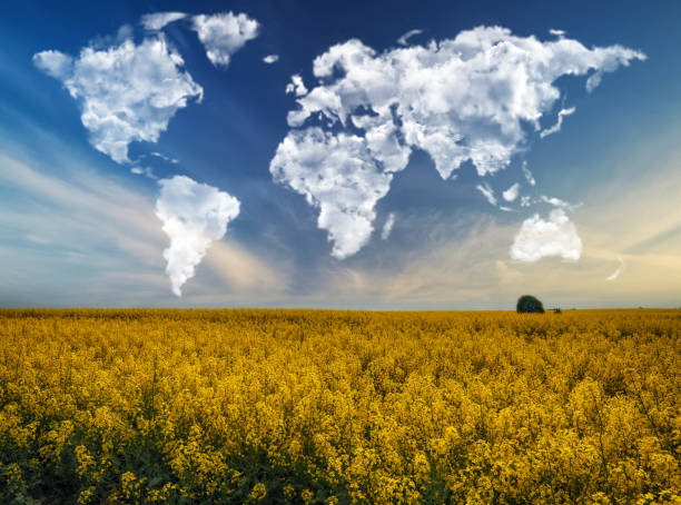 istock clouds in the form of a world map over a rapeseed field. Travel and landscape concept. hilly field 1659298564