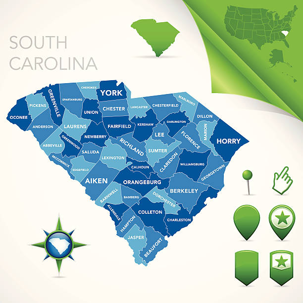 south carolina county map - south carolina stock illustrations