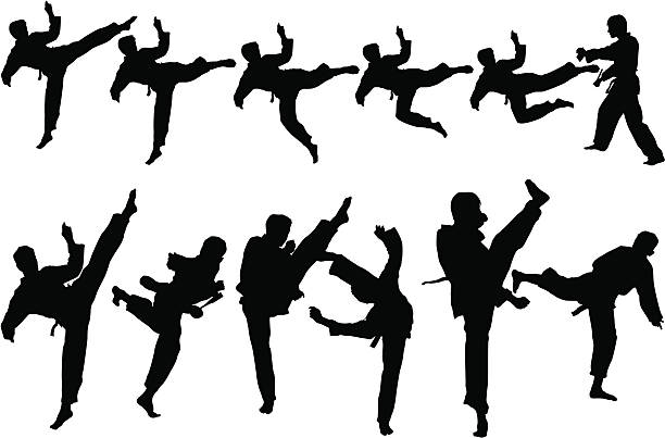 무술 - karate kicking tae kwon do martial stock illustrations