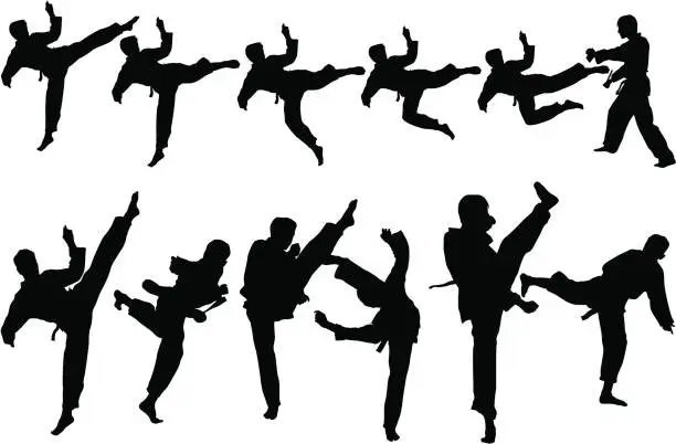 Vector illustration of Martial art