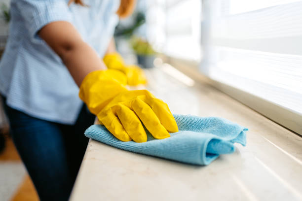 istock Young Woman Cleaning The Window Sill Surface 1659303285