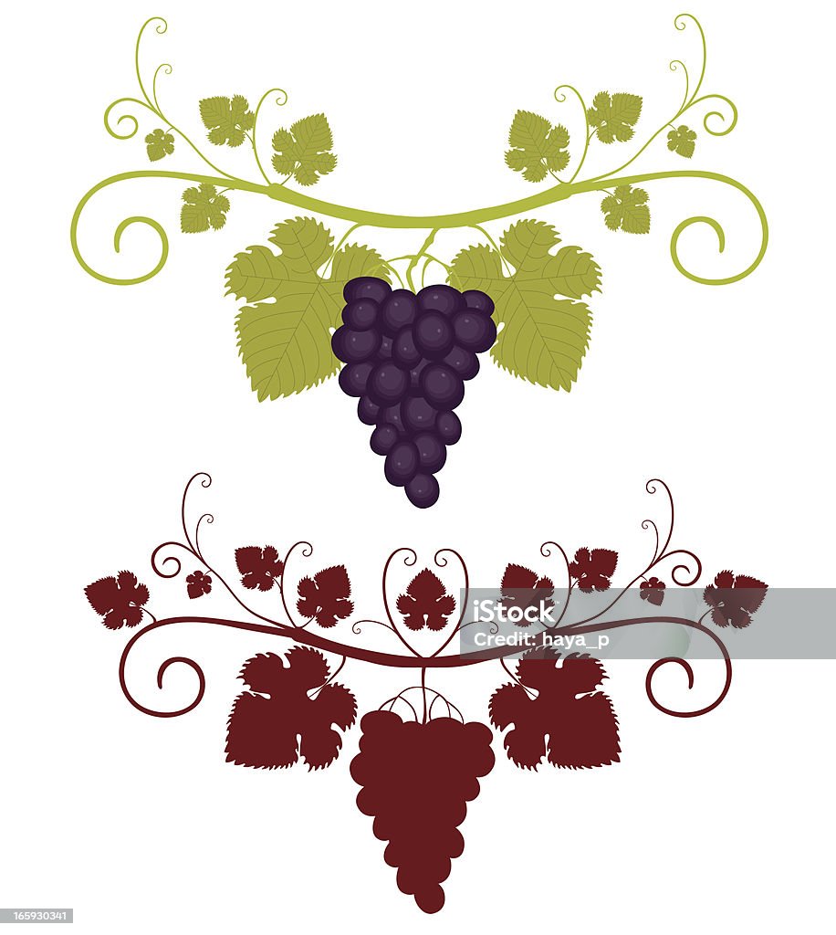 Grapes and Vine Silhouette All main elements are grouped and rendered complete for seperate use. Zipped *. ai CS3 is attached. Leaf stock vector