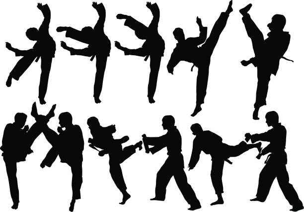 ilustrações de stock, clip art, desenhos animados e ícones de arte marcial - karate kickboxing martial arts silhouette