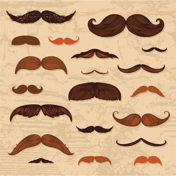 wąsy ręcznie rysowane zestaw - mustache stock illustrations