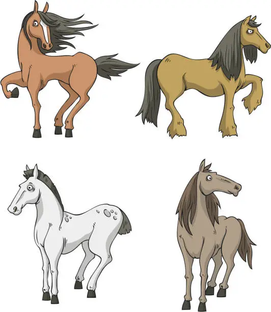 Vector illustration of four Horses horse collection