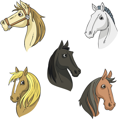 Horse Head vector cartoon collection.