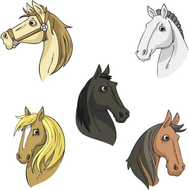 Vector illustration of Horse Head Stallion Equine Collection Vector Illustration