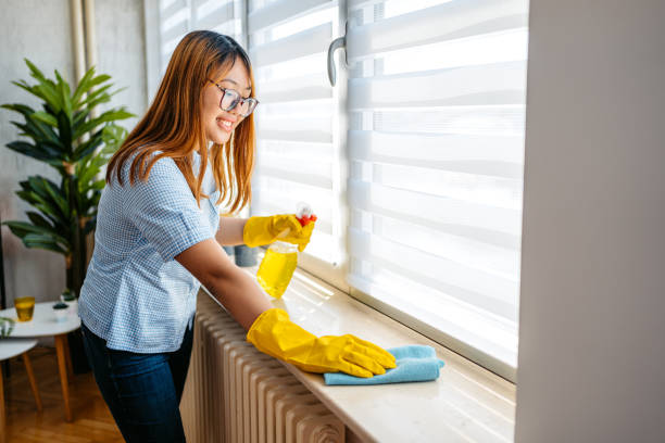 istock Young Woman Cleaning The Window Sill Surface 1659310162