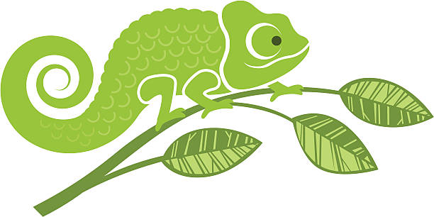 Chameleon illustration A Chameleon on a twig. chameleon stock illustrations