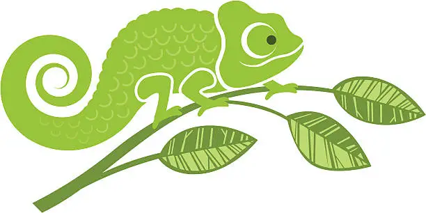 Vector illustration of Chameleon illustration