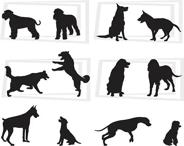 Vector illustration of Dogs