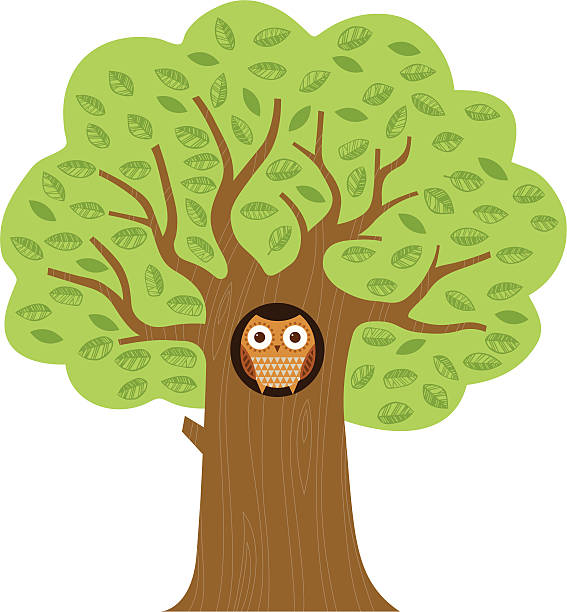 Owl in a tree vector art illustration