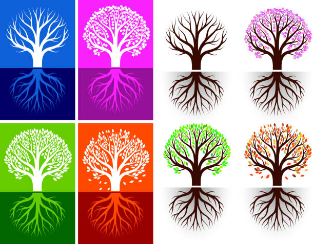 rośnie drzewo sezonie royalty free wektor zestaw ikon z kolorów - bare tree rain autumn tree stock illustrations