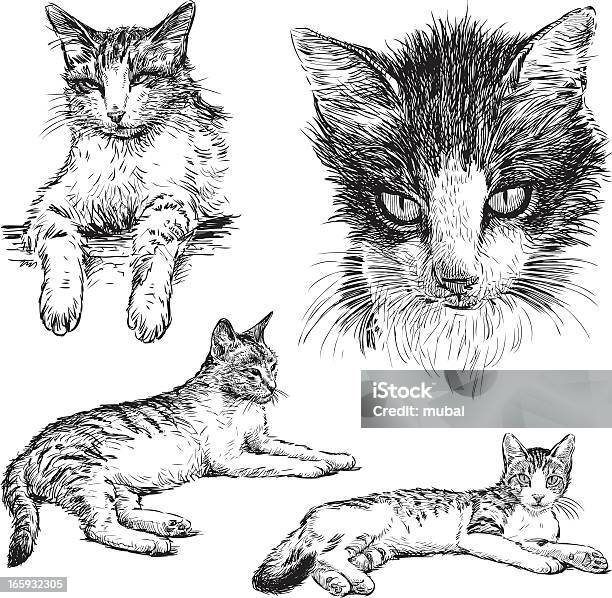Pet Cat Stock Illustration - Download Image Now - Domestic Cat, Illustration, Sketch