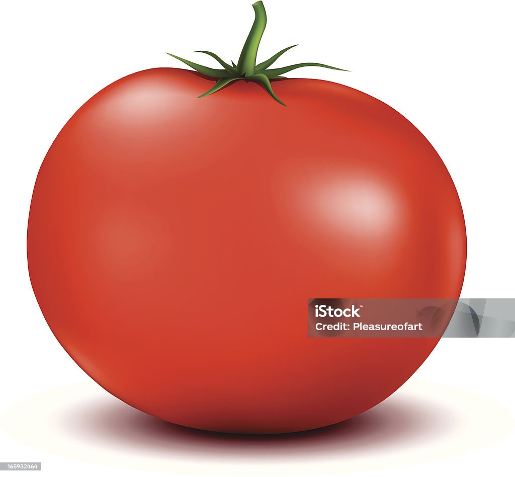 Rote Tomaten-illustration, isoliert auf weiss - Lizenzfrei Freisteller – Neutraler Hintergrund Vektorgrafik