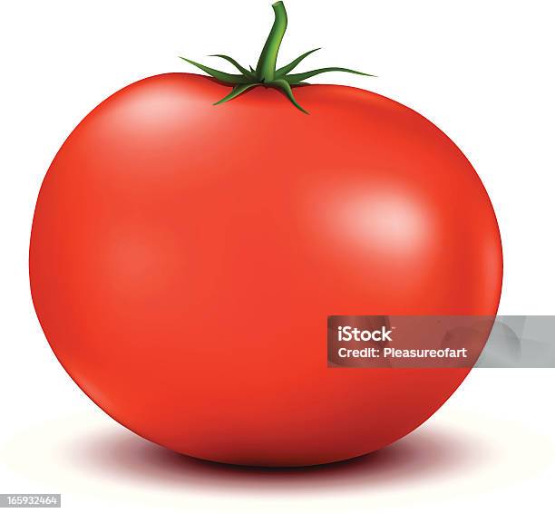 Vetores de Tomate Vermelho Ilustração Isolada No Branco e mais imagens de Alimentação Saudável - Alimentação Saudável, Comida, Comida e bebida