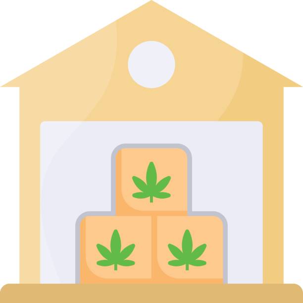 Hemp or Weed Barn concept, Hash Manufacturers and Suppliers vector color icon design, Cannabis and marijuana symbol, thca and cbda sign, recreational herbal drug stock illustration Hemp or Weed Barn concept, Hash Manufacturers and Suppliers vector color icon design, Cannabis and marijuana symbol, thca and cbda sign, recreational herbal drug stock illustration dioecious stock illustrations