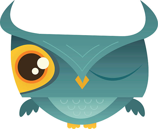 250+ Owl Wink Illustrations - iStock