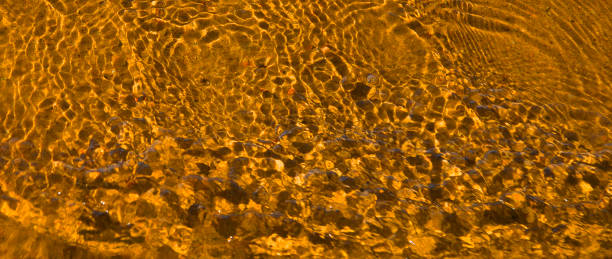 Golden ripple stock photo