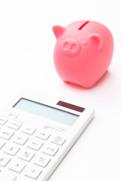 istock Pig piggy bank and calculator on a white background. 1659350986