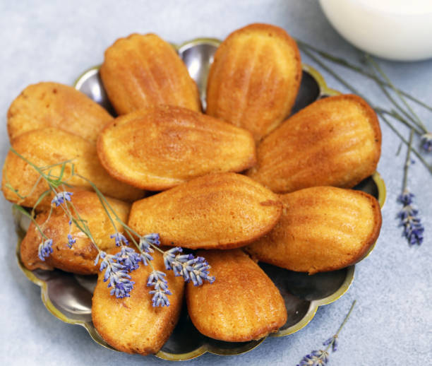 istock French cookies Madeleine in the form of shells 1659352669