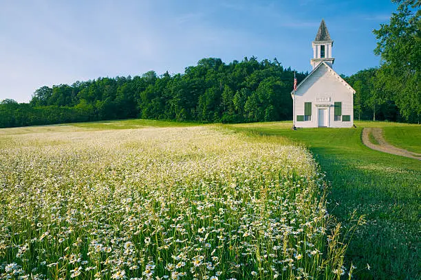 country church in field of daisy wildflowers