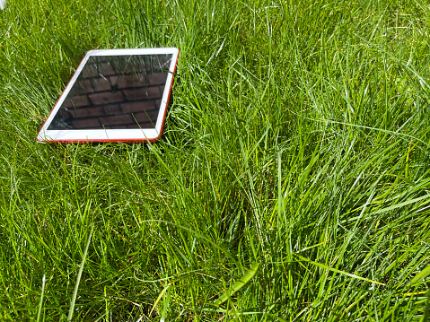 Digital tablet in green grass outdoors on a sunny day, copy space