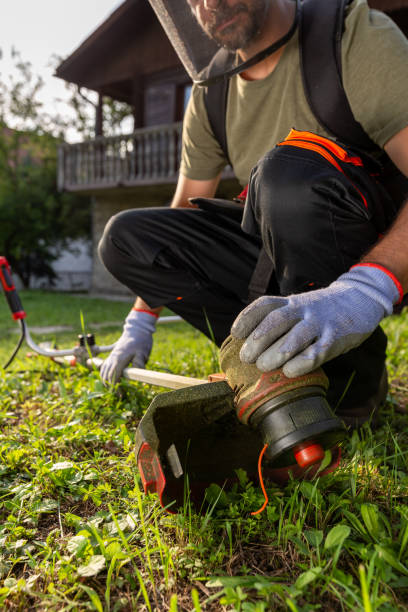 istock Close up of man hands on grass trimmer checking if machine is working properly 1659377935