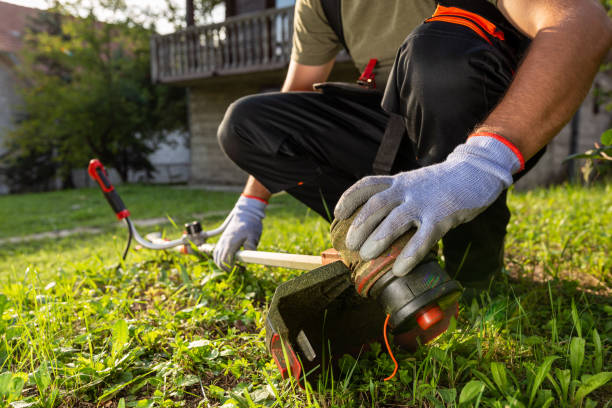 istock Close up of man hands on grass trimmer checking if machine is working properly 1659378521