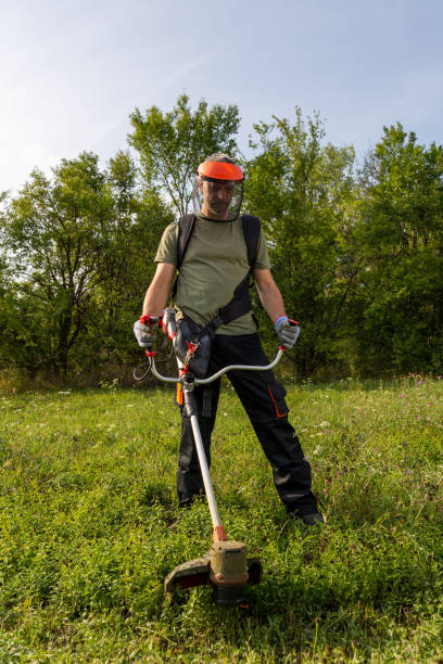 istock Man mowing the grass at his garden by using string trimmer with protective helmet and gloves. 1659379077