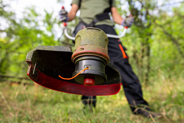 istock Close up of string grass cutting trimmer held by worker in protective clothing. Gardening concept. 1659379575