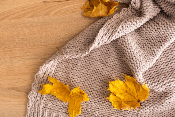 istock Autumn composition. warm knitted plaid, yellow leaves on white wool background. Autumn, fall concept. Flat lay, top view, copy space. 1659379579
