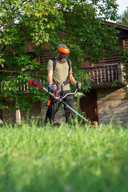 istock Landscape maintenance concept. Man cutting grass in yard by using electric string grass trimmer. 1659385712