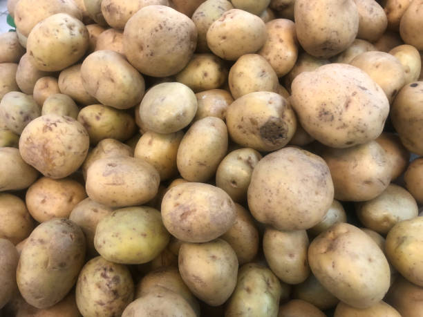 istock A stack of potatoes on display in the supermarket showcase 1659392262