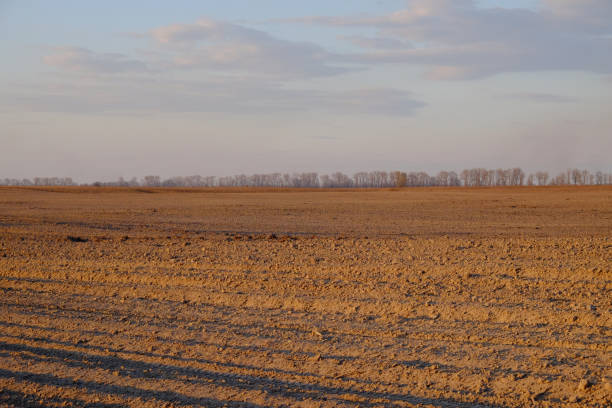 istock Cloudy evening sky over an empty agricultural field. Bright sunset landscape. 1659400565